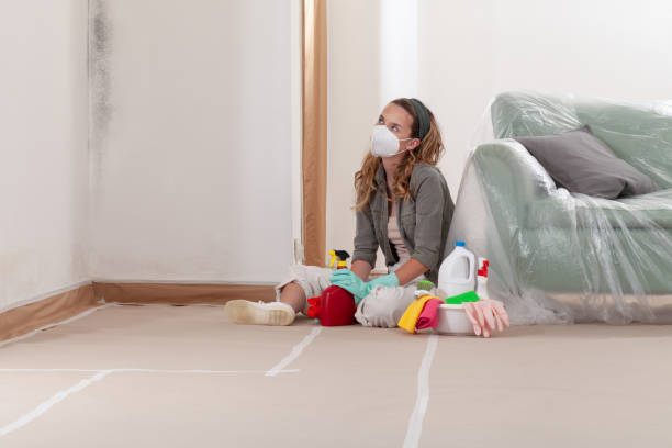 Reliable Mold Remediation contractor in Arlington, GA by 24 Hour Mold Removal